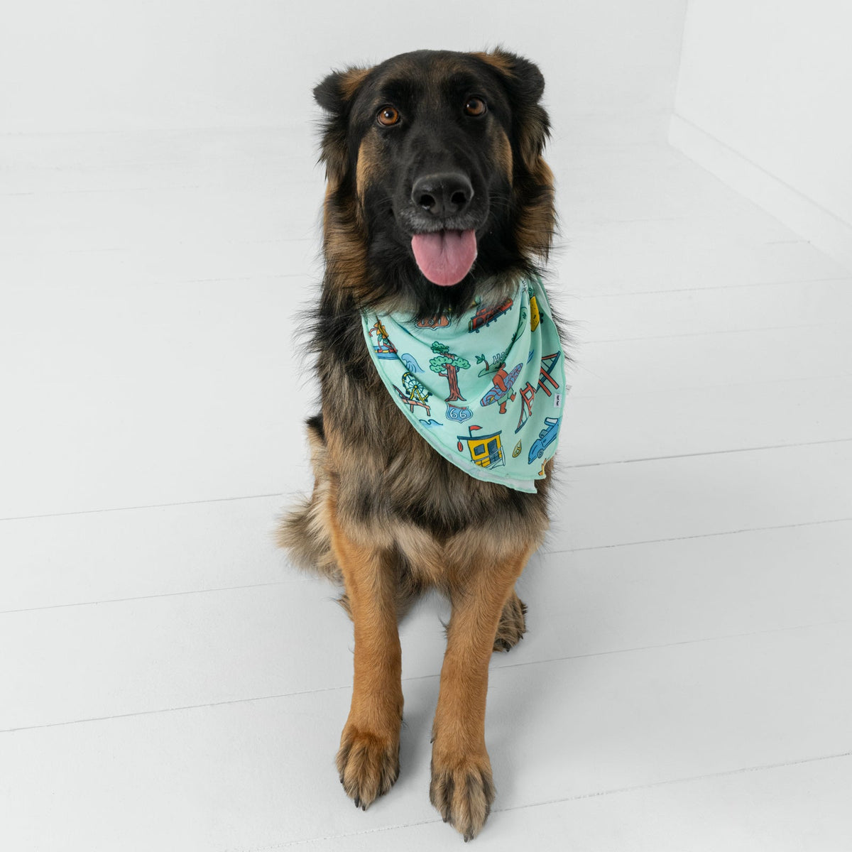Golden State Pet Bandana