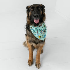 Golden State Pet Bandana